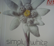 AS Creation Simply White 2 behangboek